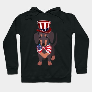 Independence Day Gifts Happy Fourth Of July Dachshund Dog T-Shirt Funny Puppy Hoodie